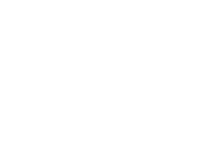 YouTube logo white